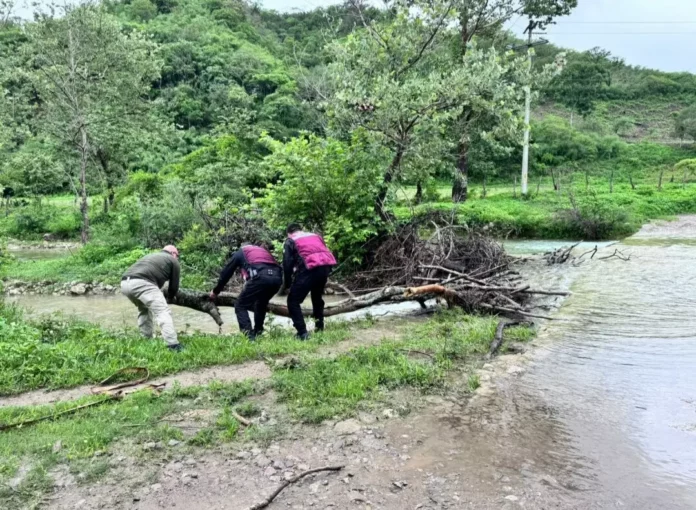 Screenshot_20250701_203116_Drive