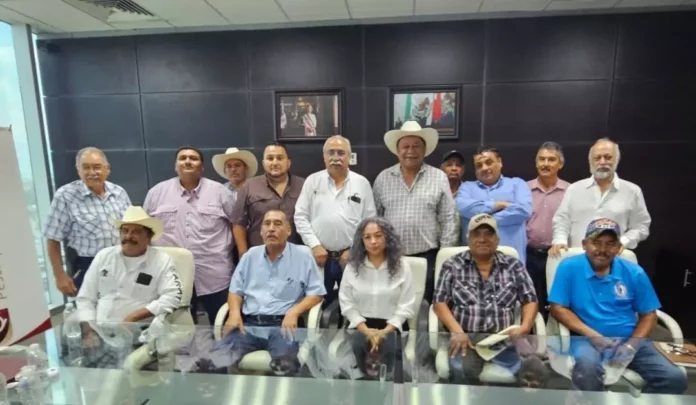 Screenshot_20250707_175031_Drive