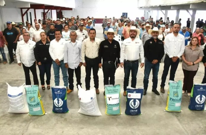 Screenshot_20250714_142450_Drive