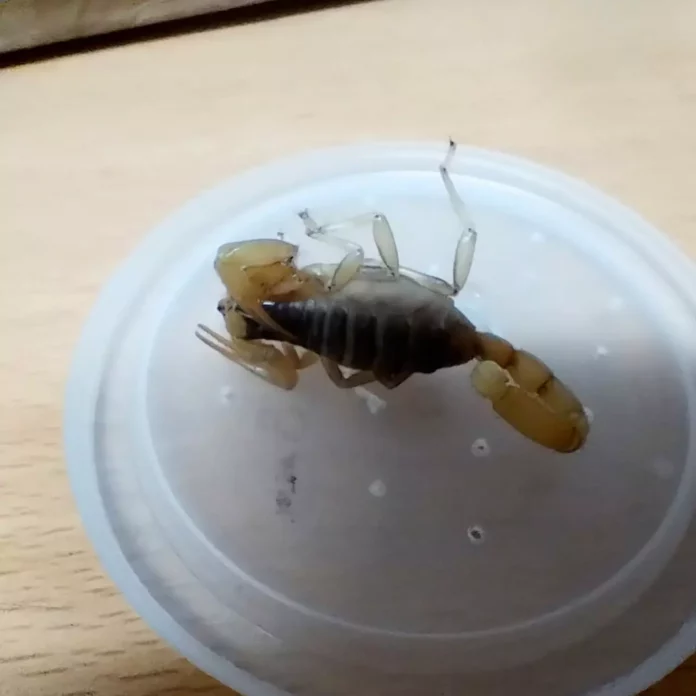 Imagen de WhatsApp 2025-08-12 a las 12.50.20_371f7fb0