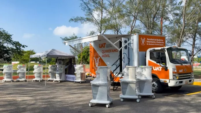 Imagen de WhatsApp 2025-08-13 a las 16.00.59_f4fc6cdf