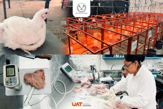 Imagen de WhatsApp 2025-08-22 a las 16.11.31_4d22663e