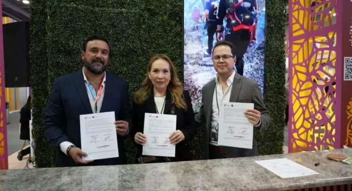 Screenshot_20250824_153030_Drive