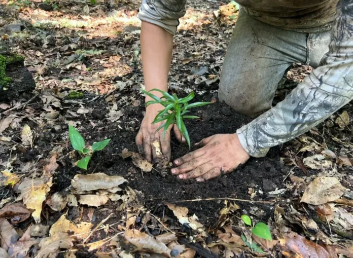 Screenshot_20250825_142007_Drive