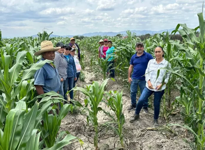 Screenshot_20250827_115758_Drive