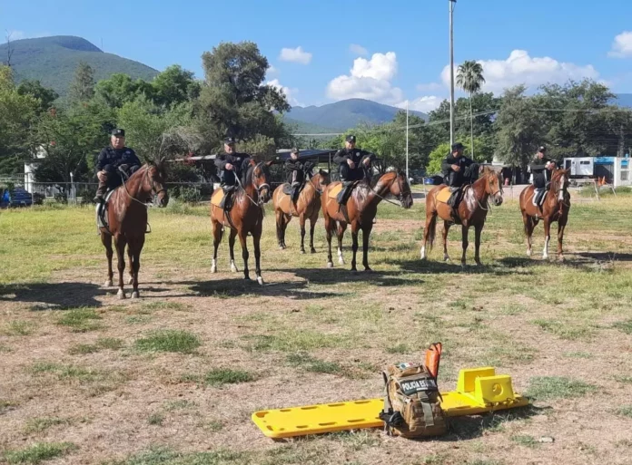 Screenshot_20250828_121958_Drive