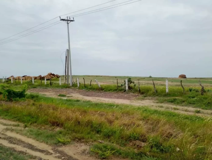 Imagen de WhatsApp 2025-09-16 a las 12.21.22_ff5d4641