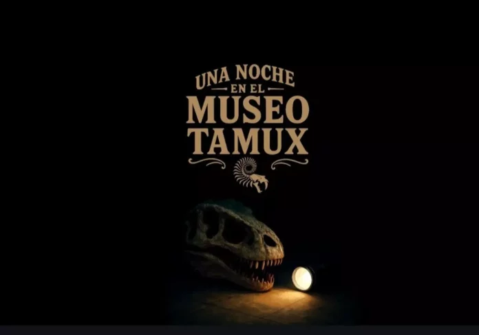 Screenshot_20250904_120012_Drive