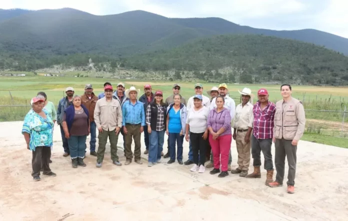 Screenshot_20250905_124949_Drive