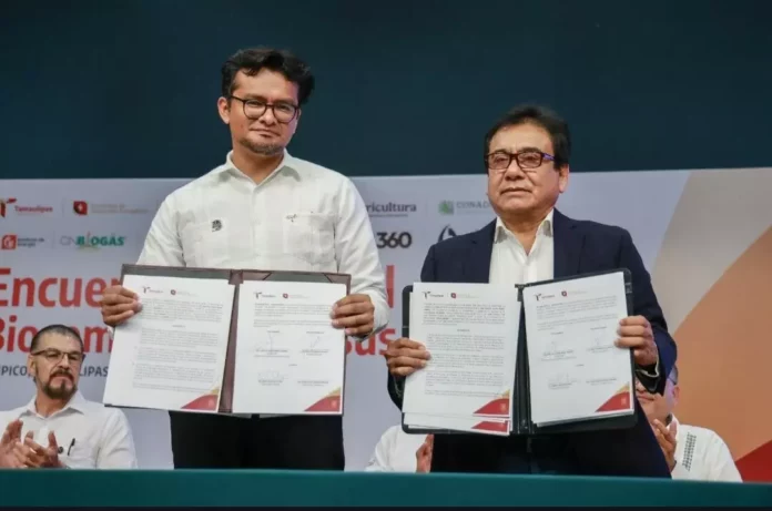 Screenshot_20250905_125411_Drive