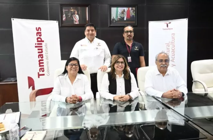 Screenshot_20250910_152517_Drive