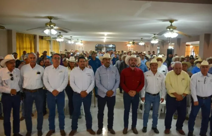 Screenshot_20250912_191038_Drive