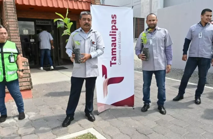 Screenshot_20250915_144651_Drive