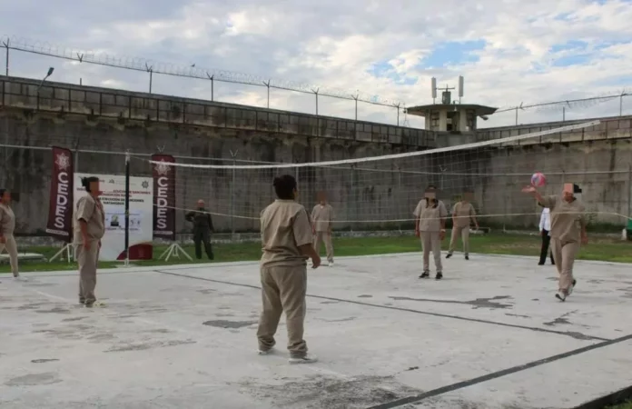 Screenshot_20250918_142515_Drive