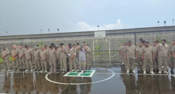 Screenshot_20250919_145837_Drive