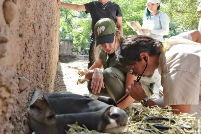 Imagen de WhatsApp 2025-10-17 a las 14.15.08_b1b31da0