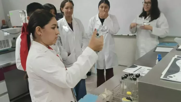 Imagen de WhatsApp 2025-10-22 a las 15.01.29_d6b87f1d