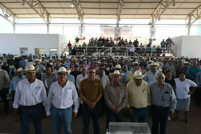 Imagen de WhatsApp 2025-10-26 a las 15.06.35_9b8e2b17