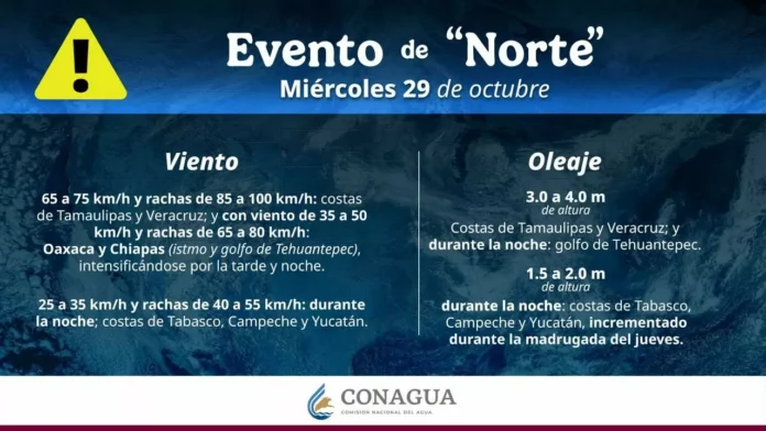 Imagen de WhatsApp 2025-10-28 a las 16.30.45_a319803d