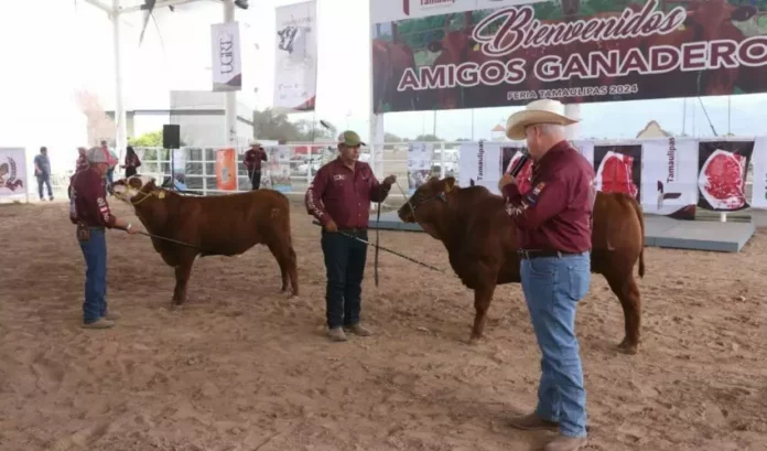 SRU-149-2025.-Feria-Tamaulipas-sera-sede-del-Segundo-Concurso-del-Novillo-Gordo-5-850x500