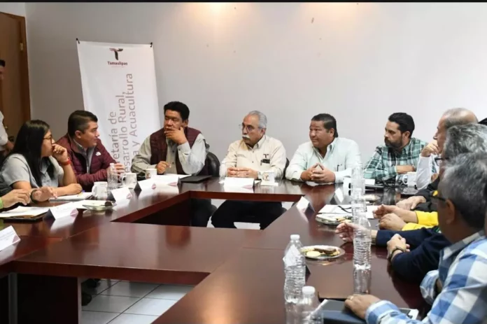 Screenshot_20251028_125709_Drive