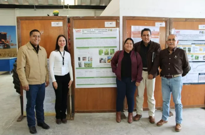 Screenshot_20251030_154032_Drive