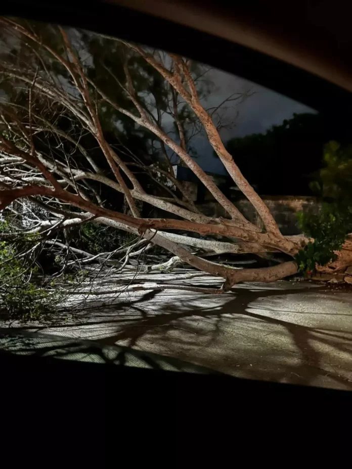 a85d84cf-b6c7-4451-a9c2-a95fe36fd955