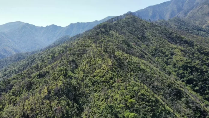 Imagen de WhatsApp 2025-11-06 a las 11.30.55_6c2b3af8