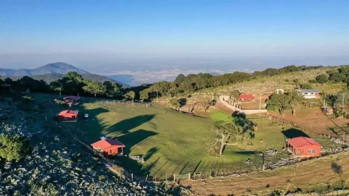 Imagen de WhatsApp 2025-11-08 a las 15.50.22_b3b9a795