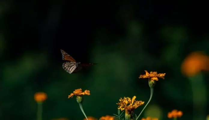 Screenshot_20251105_151814_Drive