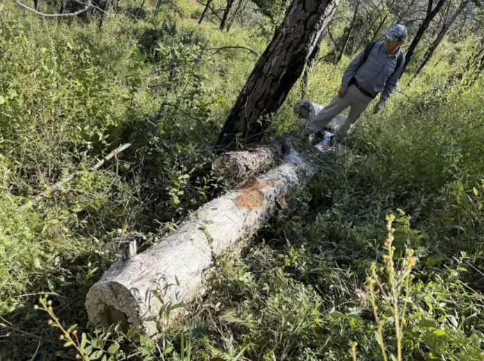 Screenshot_20251106_143326_Drive