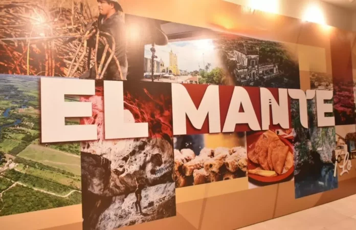 Screenshot_20251107_113101_Drive