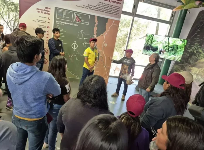 Screenshot_20251109_150212_Drive