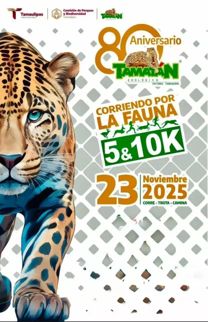 Screenshot_20251109_150525_Drive