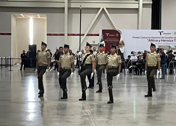 Screenshot_20251112_143029_Drive