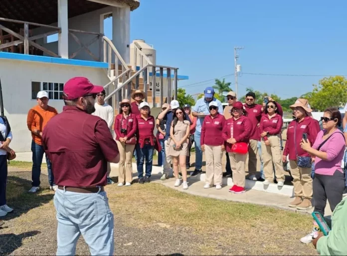 Screenshot_20251112_143625_Drive