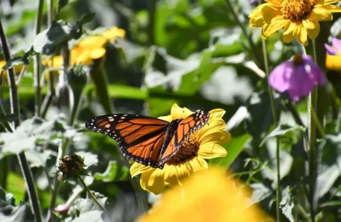 Screenshot_20251116_172658_Drive