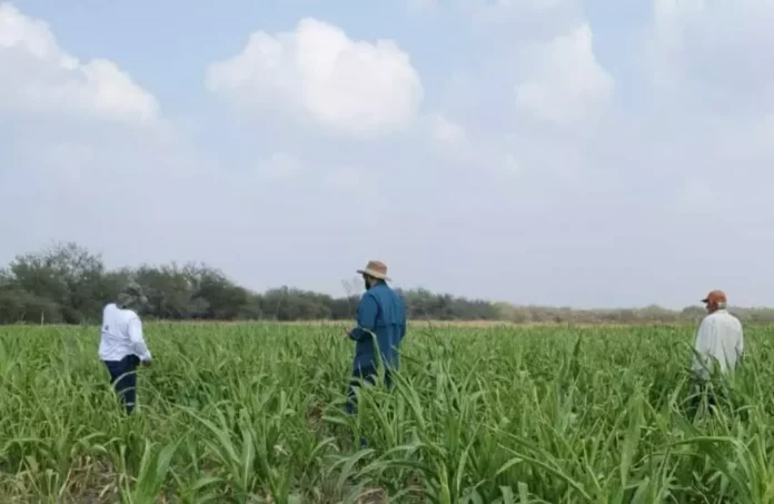 Screenshot_20251124_124636_Drive