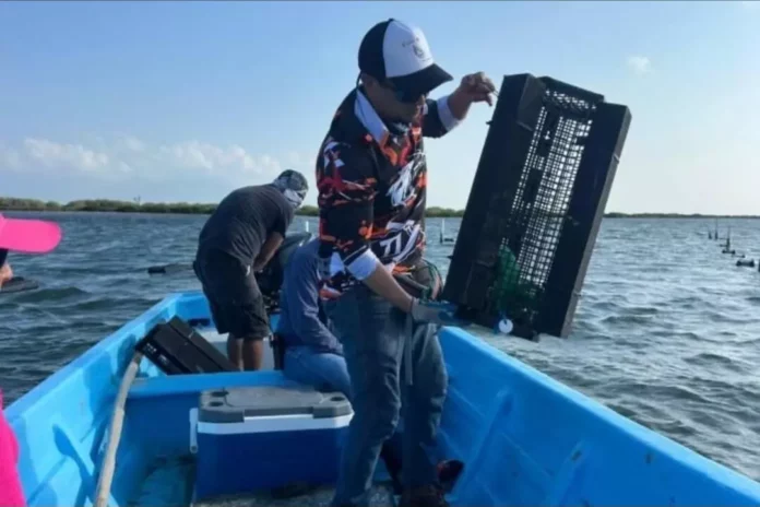 Screenshot_20251127_142411_Drive