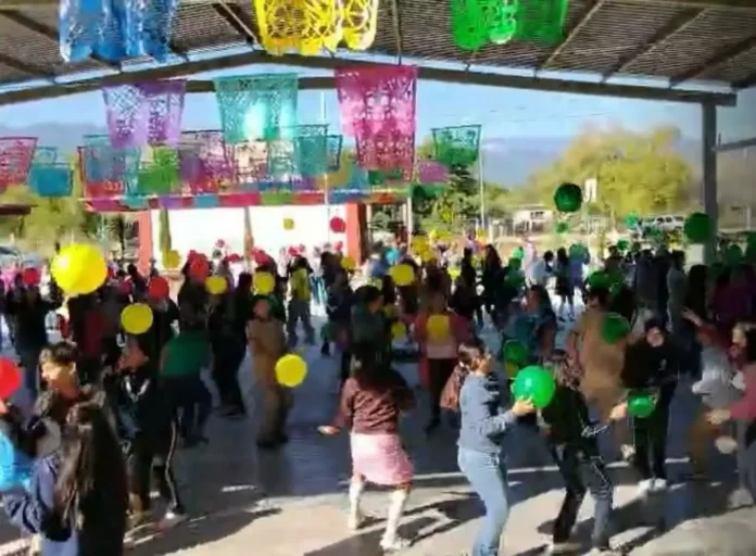 WhatsApp Image 2025-11-14 at 8.38.39 PM