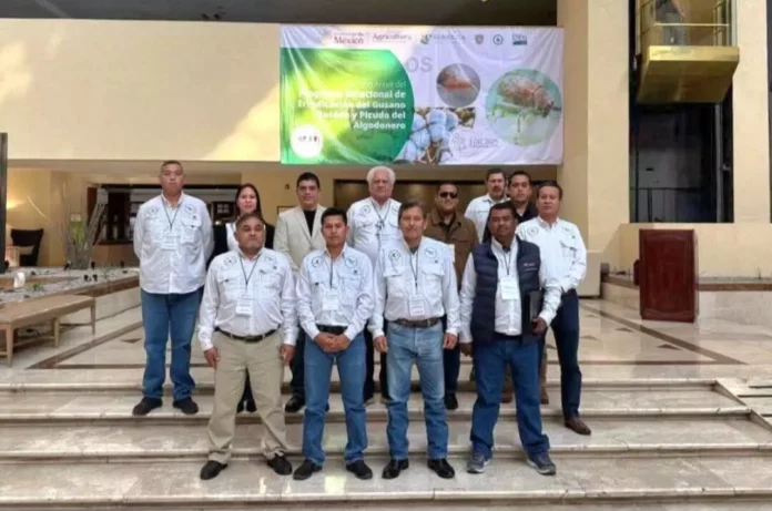 Screenshot_20251204_152635_Drive