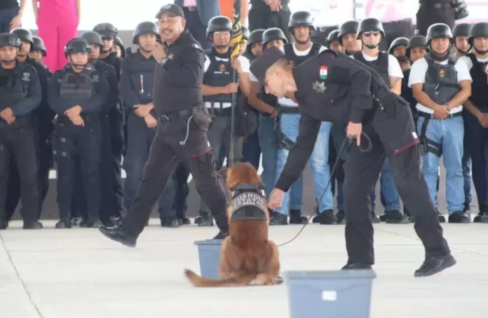 Screenshot_20251207_181707_Drive