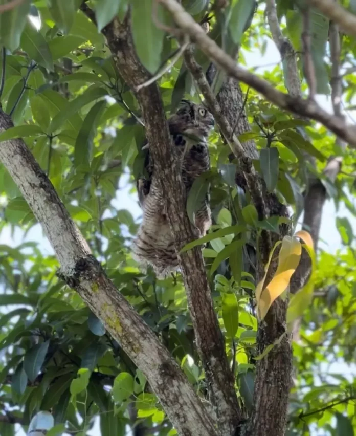 Screenshot_20251207_182152_Drive