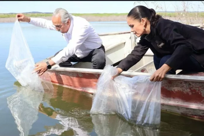 Screenshot_20251209_121844_Drive