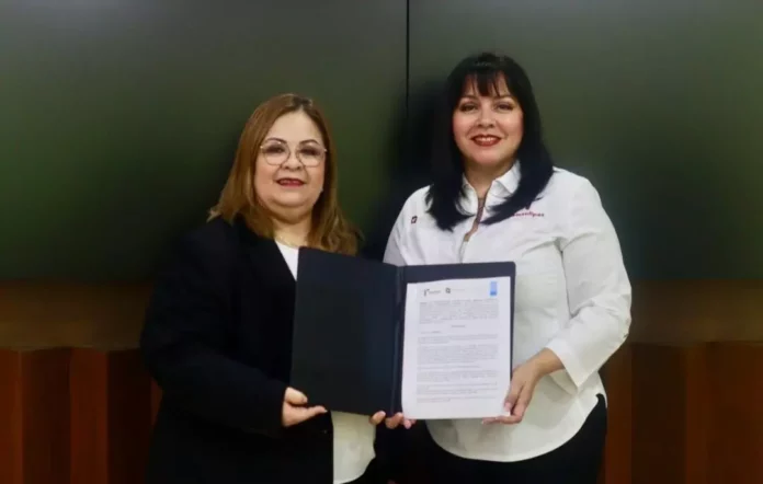 Screenshot_20251211_125534_Drive