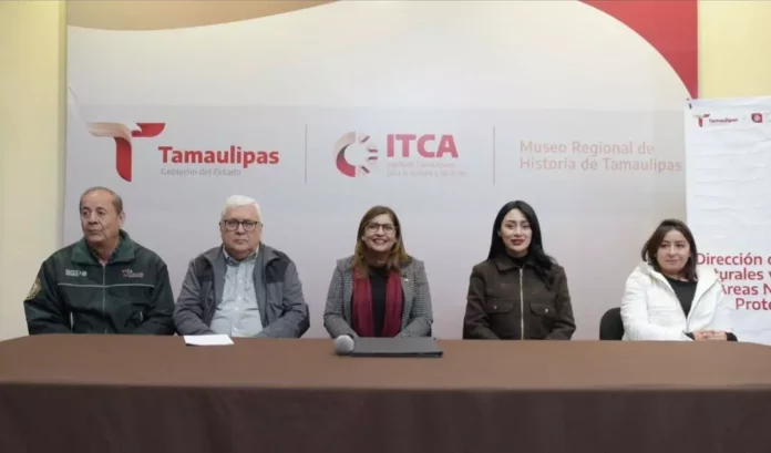 Screenshot_20251216_125322_Drive