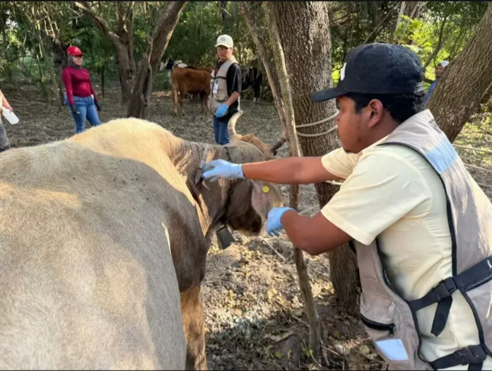 Screenshot_20251231_171530_Drive