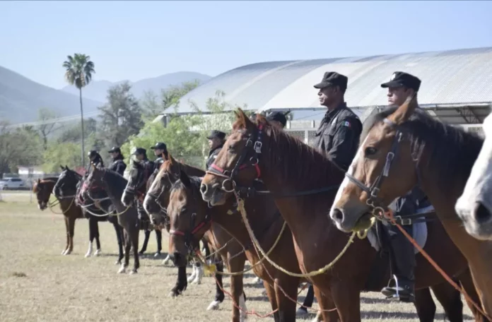 Screenshot_20260122_164702_Drive