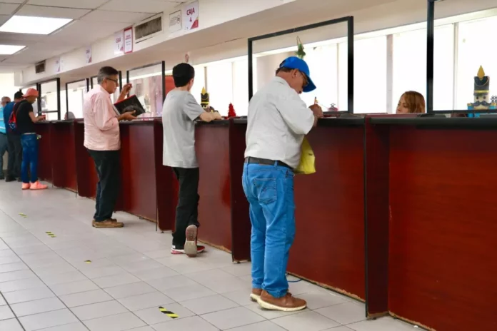 WhatsApp Image 2026-01-08 at 4.20.25 PM