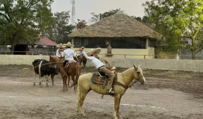 IDE-012-2026.-Concluyen-estatales-de-diversas-disciplinas-rumbo-a-Olimpiada-Nacional-12-850x500